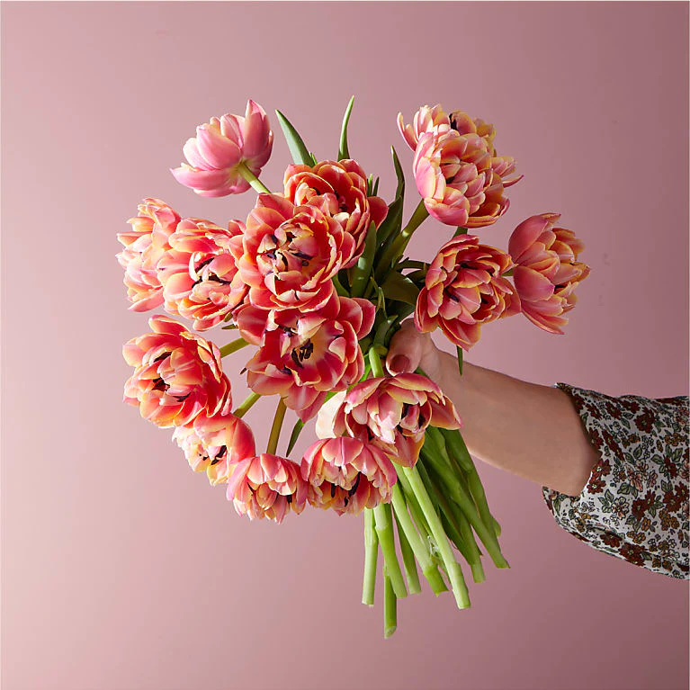 My Darling Pink Calla Lily Plant – Nenas Florist