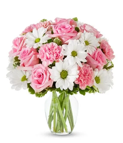 Pastel Daisy & Rose Delight