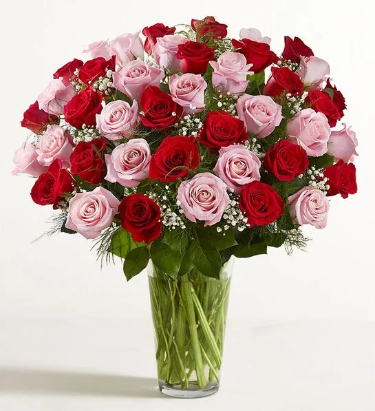 Ultimate Elegance Long Stem Pink & Red Roses