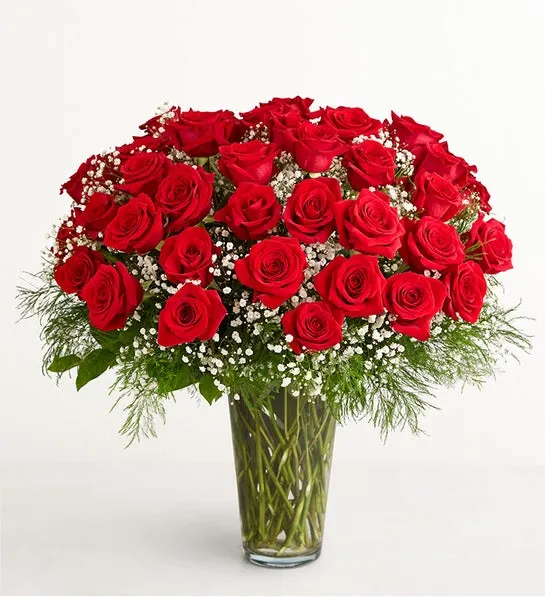 Ultimate Elegance Long Stem Red Roses