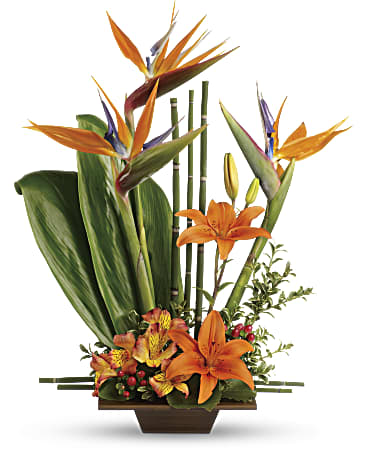 Exotic Grace - Image 2