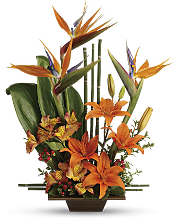 Exotic Grace