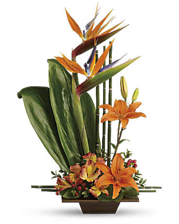 Exotic Grace - Image 3