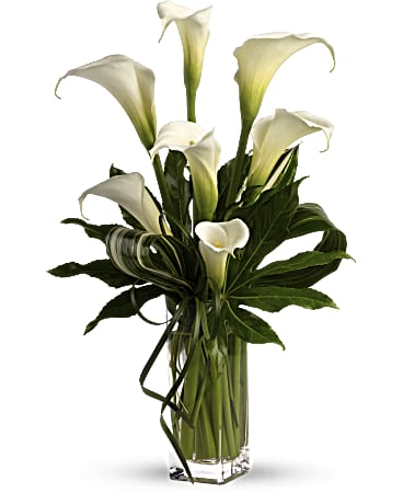 My Fair Lady - Image 2