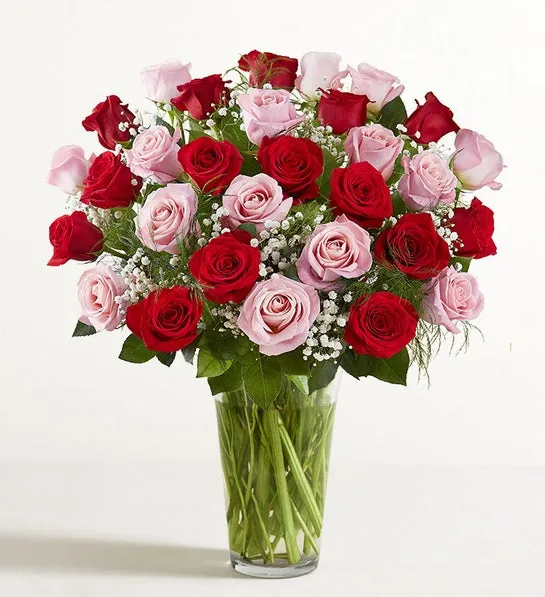 Ultimate Elegance Long Stem Pink & Red Roses - Image 2
