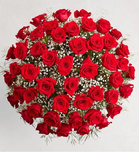 Ultimate Elegance Long Stem Red Roses - Image 2